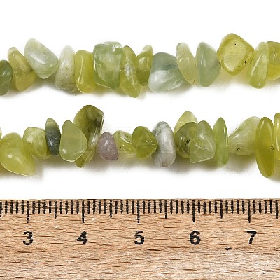 Natural Jade Chip Beads Strands G-B160-B02-1