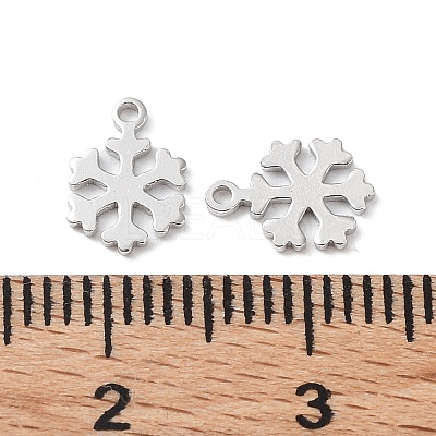 Rhodium Plated 925 Sterling Silver Charms STER-C003-18P-1