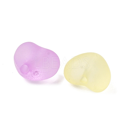 Frosted Transparent Acrylic Beads FACR-C001-01G-1