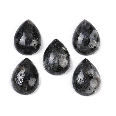 Natural Larvikite Cabochons G-H094-01A-15-1