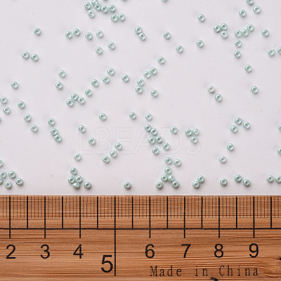 11/0 FGB Grade A Baking Paint Glass Seed Beads X-SEED-N001-A-1031-1