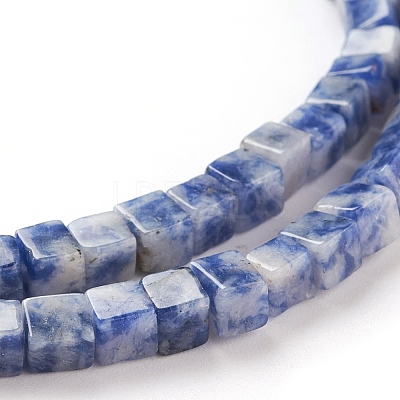 Natural Blue Spot Jasper Beads Strands G-F631-K06-1