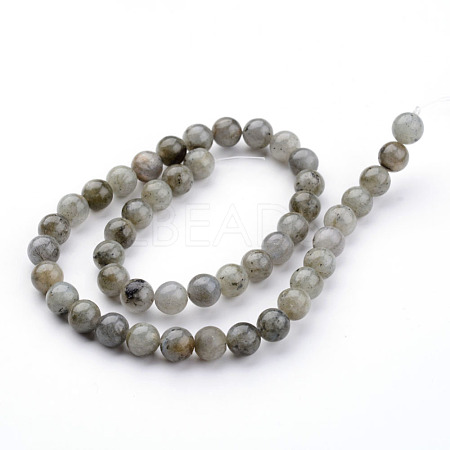 Natural Labradorite Bead Strands G-K152-03-8mm-1
