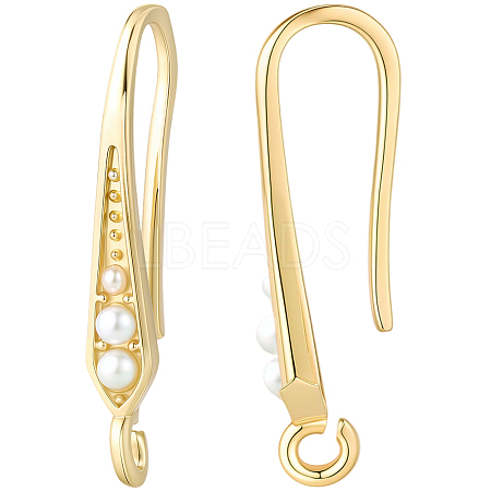 10 Pairs Rack Plating Brass Earring Hooks EJEW-BBC0002-26-1