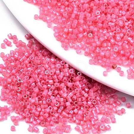 FGB 11/0 Grade A Glass Seed Beads SEED-S030-1144-1