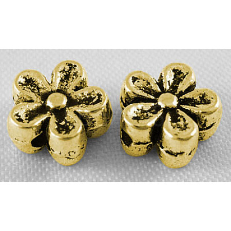 Tibetan Style Alloy Beads X-GLF0476Y-1