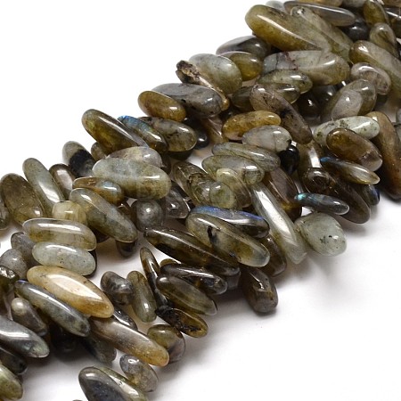 Natural Labradorite Chip Beads Strands X-G-E271-16-1