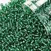 TOHO 11/0 Round Beads X-SEED-TR11-0024B-1