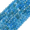 Natural Apatite Beads Strands G-G106-C06-01-1