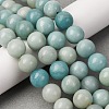 Round Natural Amazonite Bead Strands G-I183-02-12mm-4