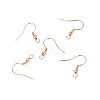 Iron Earring Hooks LS-X-IFIN-EC135-RG-1