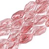 Handmade Lampwork Beads Strands LA-N046-02I-1