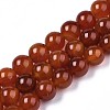 Natural Carnelian Beads Strands G-S259-32-12mm-1