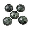 Natural Kambaba Jasper Cabochons G-C115-02B-24-1