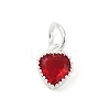 Brass Micro Pave Cubic Zirconia Pendants LS-KK-H204-01S-07-1