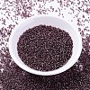 MIYUKI Delica Beads SEED-MY11-DB2170-2