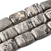 Natural Map Stone Beads Strands G-S386-A13-2