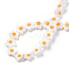 Natural Freshwater Shell Beads Strands SHEL-N003-31A-01-4