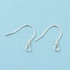 925 Sterling Silver Earring Hooks STER-D035-22S-2