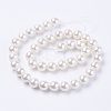 Shell Pearl Beads Strands BSHE-L035-6mm-I13-2