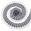 Tartan Polyester Pleated Lace Ribbon OCOR-WH0100-23-1