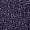 TOHO Round Seed Beads SEED-TR11-0019F-2