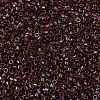 MIYUKI Delica Beads X-SEED-J020-DB1748-2