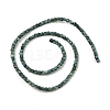 Natural Freshwater Shell Dyed Beads Strands SHEL-R100-11A-05-2