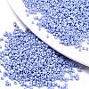 FGB 11/0 Grade A Glass Seed Beads SEED-S030-1023-1