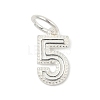 Number Series 925 Sterling Silver Charms STER-Q002-01F-1