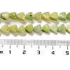 Natural Dolomite Beads Strands G-F765-H04-01-5