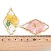Alloy Resin Pendants RE-CBA591C-02G-3