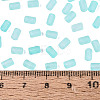 FGB Frosted Transparent Glass Seed Beads SEED-N013-05A-10-4