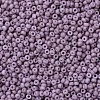MIYUKI Round Rocailles Beads X-SEED-G007-RR2025-3