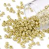8/0 Glass Seed Beads SEED-A017-3mm-1113-1