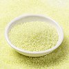 MIYUKI Round Rocailles Beads X-SEED-G009-RRHB267-2