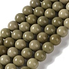 Natural Alashan Agate Beads Strands G-P530-B05-04-1