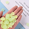 Transparent Frosted Acrylic Pendants MACR-S371-02A-728-5