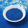 MIYUKI Round Rocailles Beads X-SEED-G007-RR0149F-2