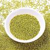 MIYUKI Delica Beads SEED-MY11-DB1835-2