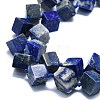 Natural Lapis Lazuli Beads Strands G-K245-G01-02-3