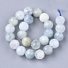 Natural Aquamarine Beads Strands G-S345-10mm-013-2