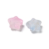 Frosted Acrylic Charms OACR-M023-04G-2