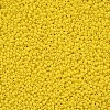 11/0 Grade A Baking Paint Glass Seed Beads X-SEED-N001-A-1001-2