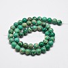 Natural Imperial Jasper Beads Strands G-I122-6mm-05-3