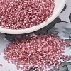 MIYUKI Delica Beads SEED-JP0008-DB2189-1