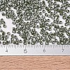 MIYUKI Delica Beads X-SEED-J020-DB1566-2