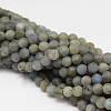 Round Natural Labradorite Bead Strands G-L448-24-10mm-1