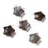 Natural Labradorite Charms G-H241-04C-1