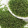 12/0 Transparent Glass Round Seed Beads SEED-J010-F12-35-1